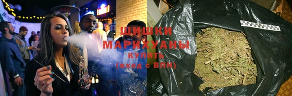 гашик Гусь-Хрустальный