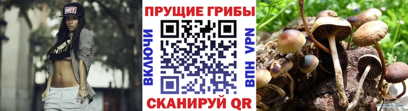 Галлюциногенные грибы GOLDEN TEACHER Морозовск